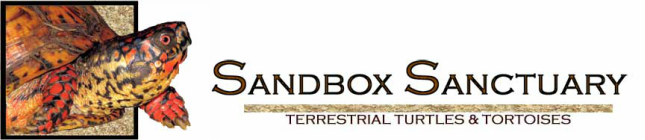 Sandbox Sanctuary